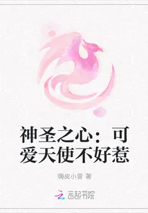 《神圣之心:可爱天使不好惹》小说封面