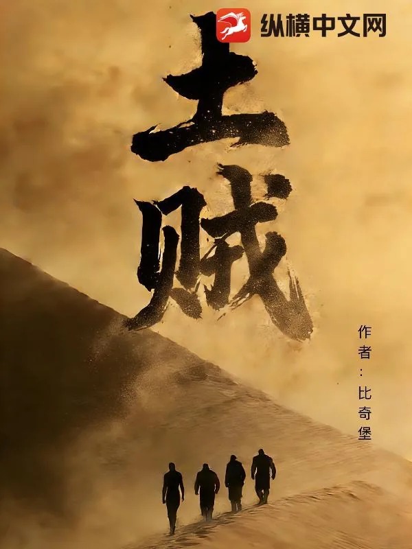《土贼》小说封面