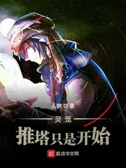 《灵笼:推塔只是开始》小说封面