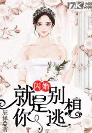 《闪婚:就是你别想逃》小说封面